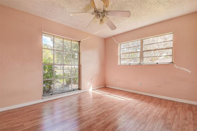 3102 OLD SPRING PLACE, Tampa, FL 33618