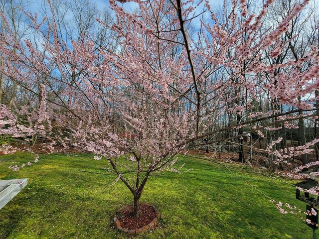 35 Castle Dr, Sharon, MA 02067