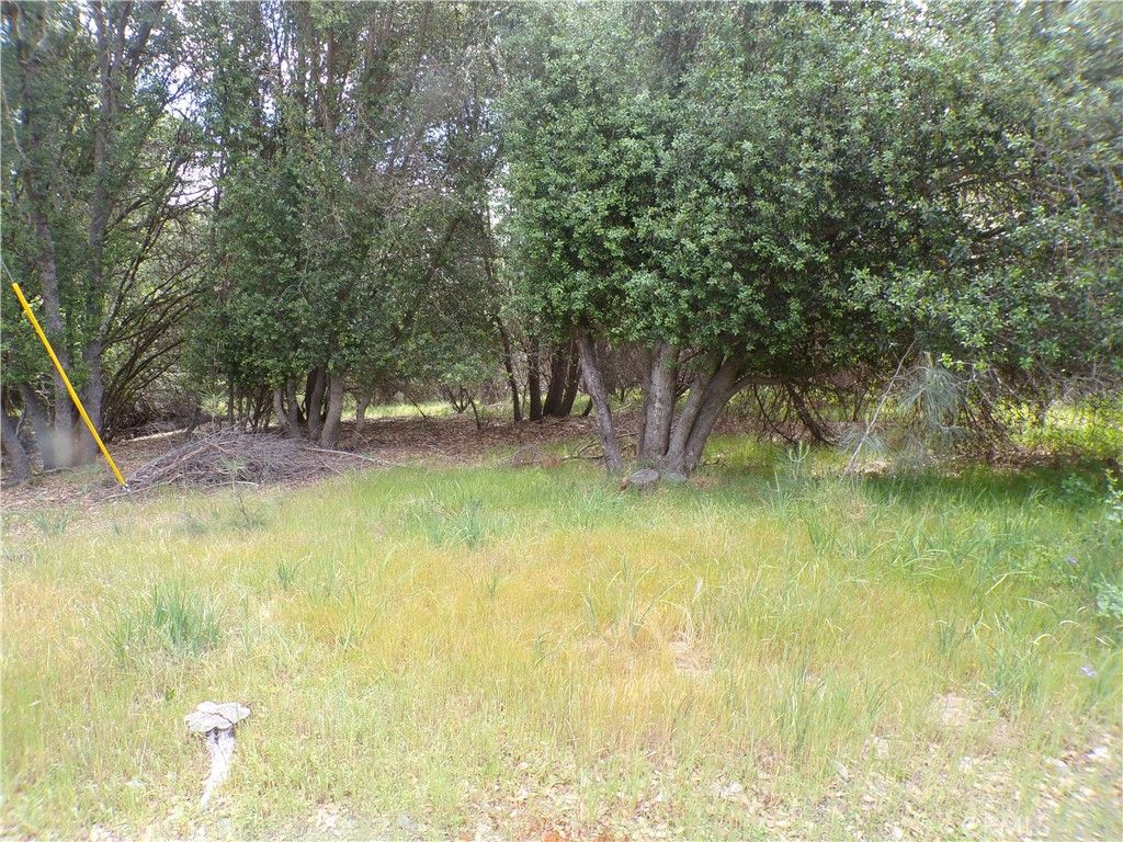 Image 1 of property listing at 17472 Cache Creek, Clearlake Oaks, CA 95423