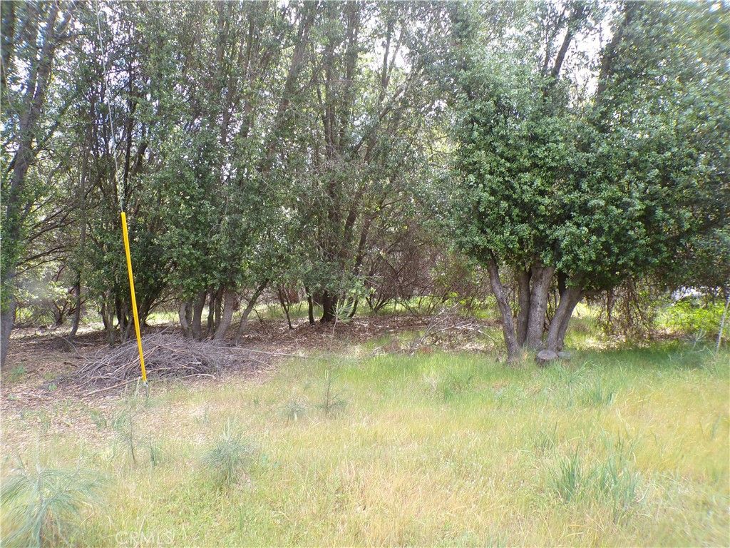 Image 2 of property listing at 17472 Cache Creek, Clearlake Oaks, CA 95423