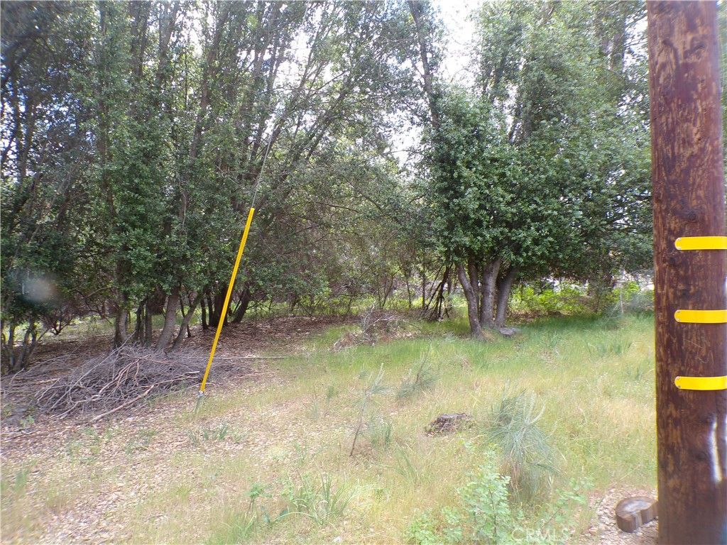 Image 3 of property listing at 17472 Cache Creek, Clearlake Oaks, CA 95423