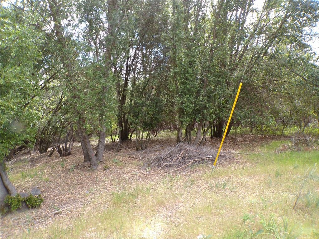 Image 4 of property listing at 17472 Cache Creek, Clearlake Oaks, CA 95423