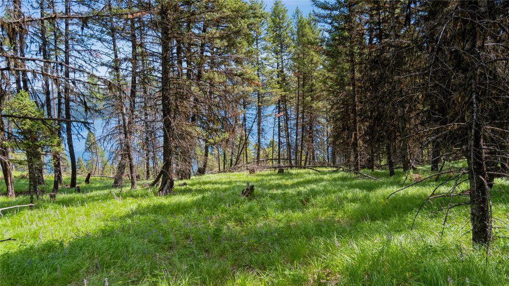 4154 Ashley Lake Road, Kalispell, MT 59901 photo 12