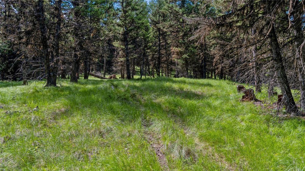 4154 Ashley Lake Road, Kalispell, MT 59901 photo 13