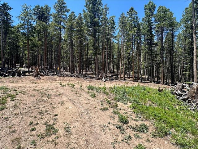 754 Mountain Meadows Drive, Black Hawk, CO 80422