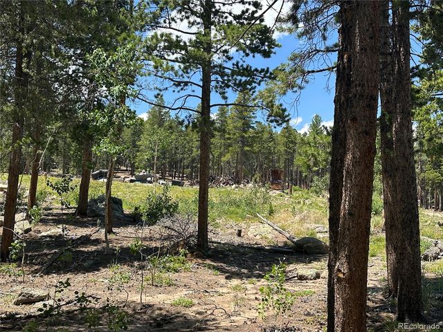 754 Mountain Meadows Drive, Black Hawk, CO 80422