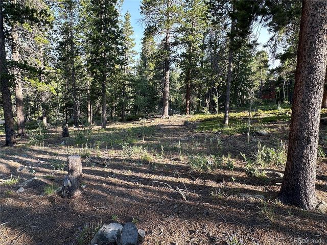 754 Mountain Meadows Drive, Black Hawk, CO 80422