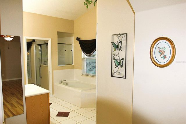 10328 CARLSON CIRCLE, Clermont, FL 34711