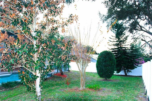 10328 CARLSON CIRCLE, Clermont, FL 34711