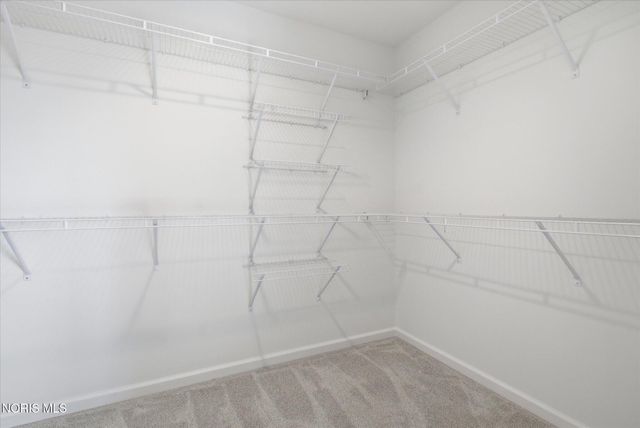 163 Bentley Drive, Perrysburg, OH 43551
