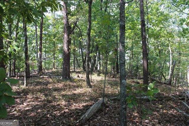 0 Conniston Road, Chatsworth, GA 30705