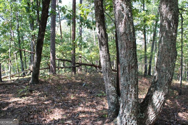0 Conniston Road, Chatsworth, GA 30705