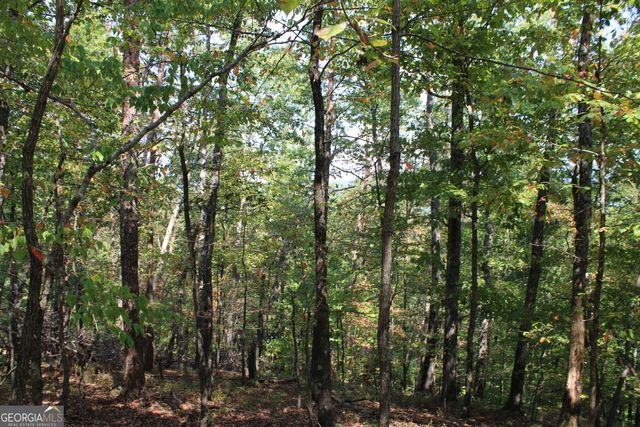 0 Conniston Road, Chatsworth, GA 30705