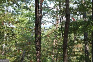 0 Conniston Road, Chatsworth, GA 30705