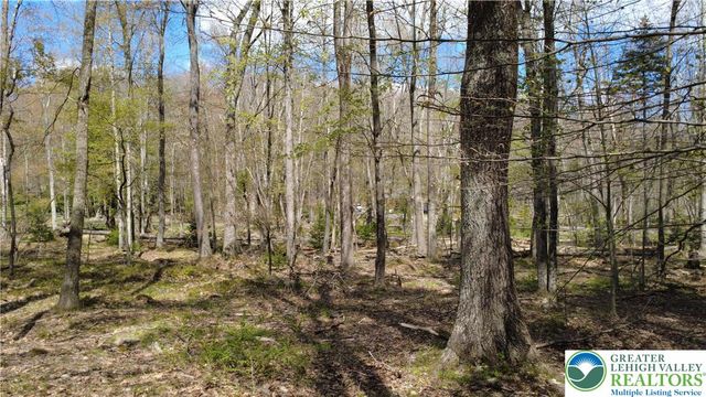 163 Owassa Drive, Tobyhanna Twp, PA 18347