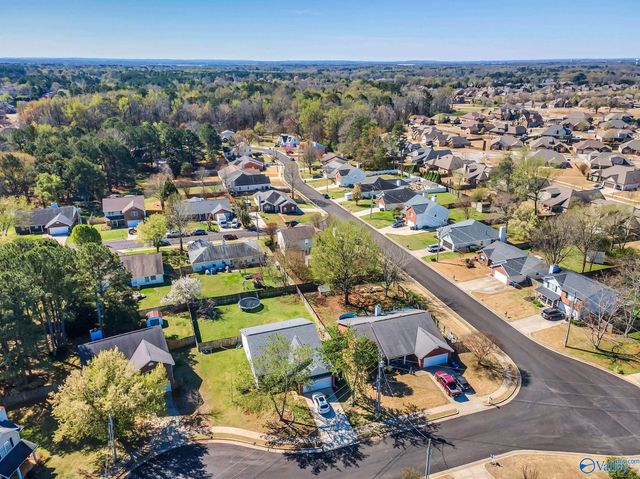 166 Brass Oak Drive, Madison, AL 35758