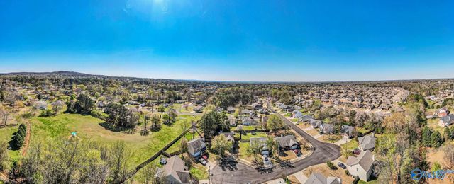 166 Brass Oak Drive, Madison, AL 35758