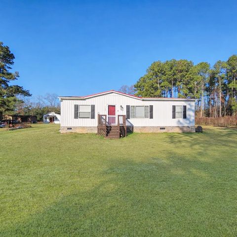 1105 Peacock Street, Manning, SC 29102