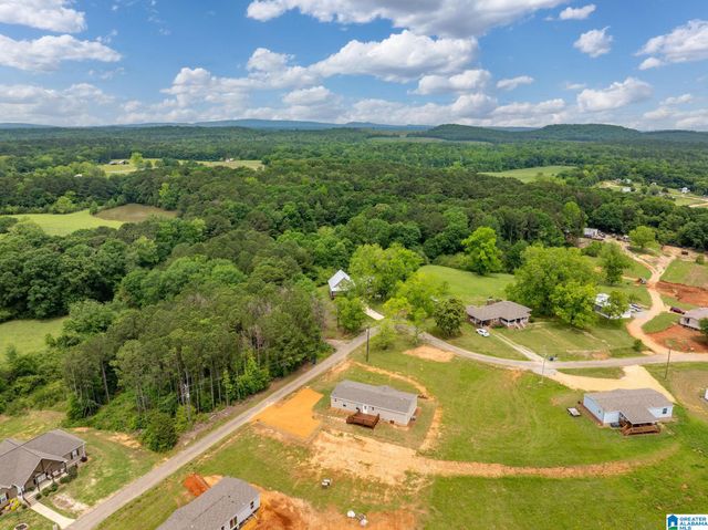 65 S T SMITH COURT, Cropwell, AL 35054