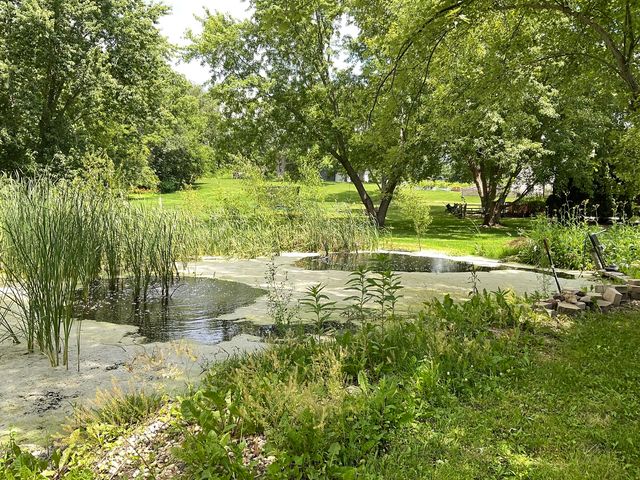 41W610 Silvana Drive, Elgin, IL 60124