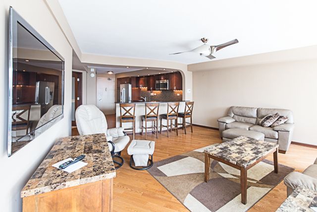 300 N State Street 3334, Chicago, IL 60654