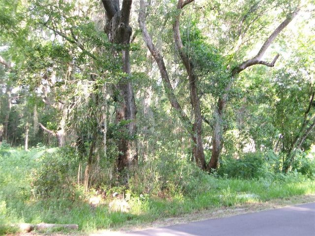 ST CLAIR STREET, Wildwood, FL 34785