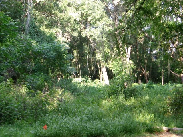 ST CLAIR STREET, Wildwood, FL 34785
