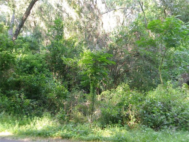 ST CLAIR STREET, Wildwood, FL 34785
