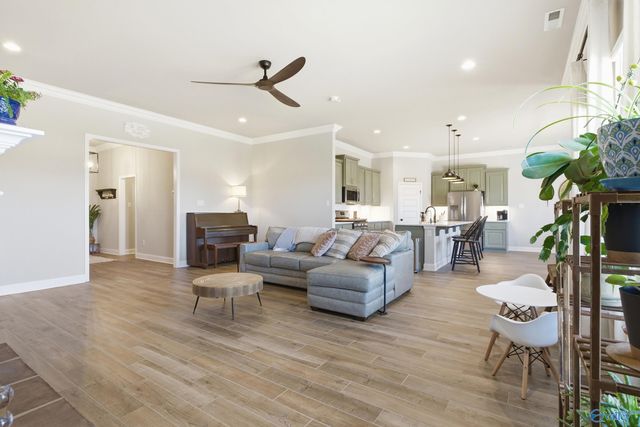 223 Nellie Faye Lane, Meridianville, AL 35759