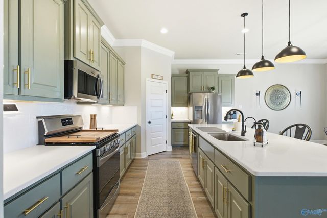 223 Nellie Faye Lane, Meridianville, AL 35759