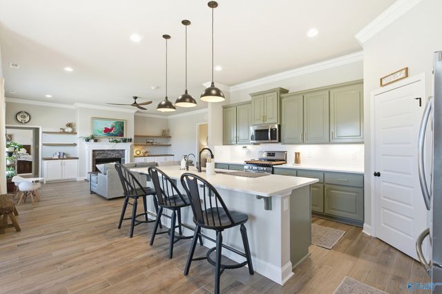 223 Nellie Faye Lane, Meridianville, AL 35759