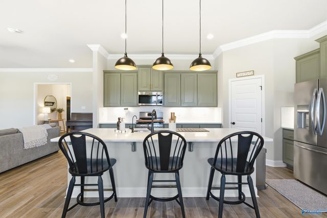 223 Nellie Faye Lane, Meridianville, AL 35759