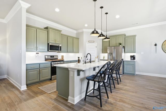 223 Nellie Faye Lane, Meridianville, AL 35759