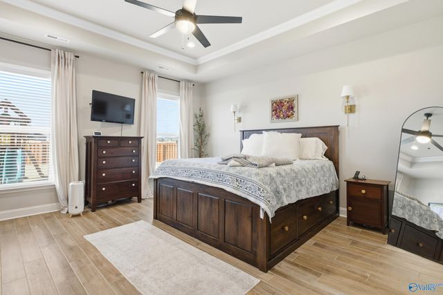 223 Nellie Faye Lane, Meridianville, AL 35759