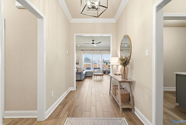 223 Nellie Faye Lane, Meridianville, AL 35759