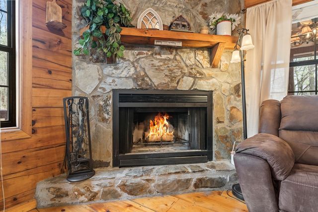 159 Pack Creek Road, Blue Ridge, GA 30513