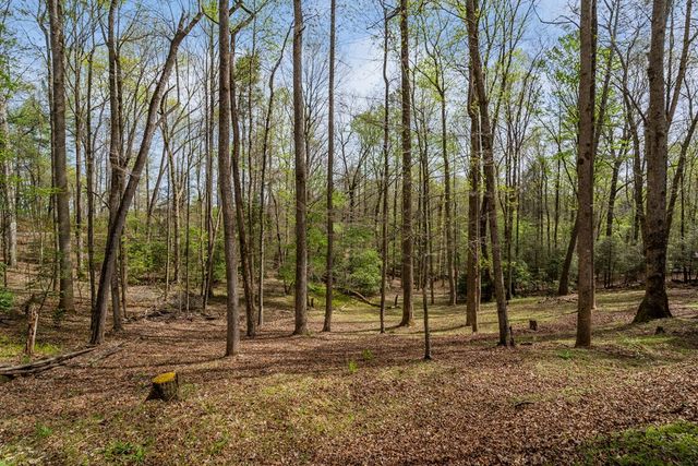 159 Pack Creek Road, Blue Ridge, GA 30513