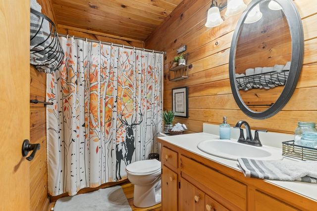 159 Pack Creek Road, Blue Ridge, GA 30513
