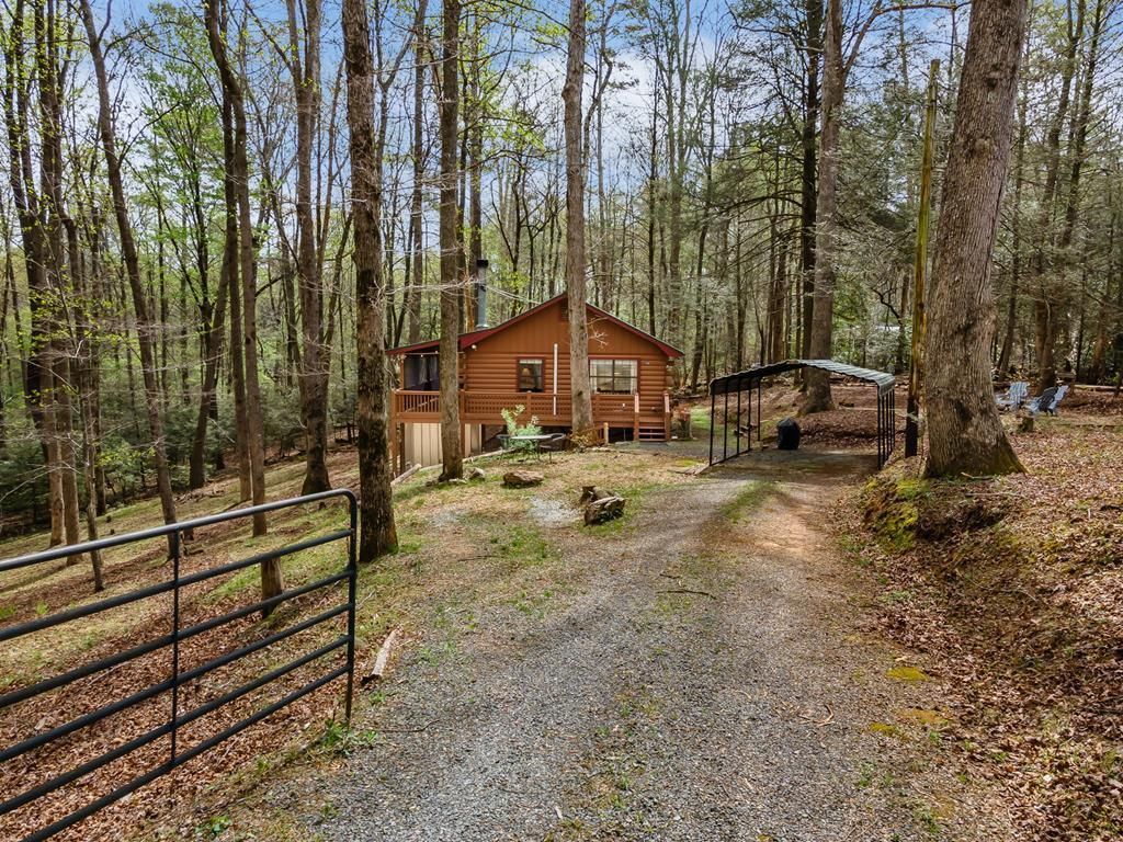 159 Pack Creek Road, Blue Ridge, GA 30513