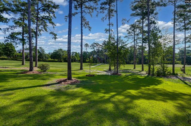331 E Arrowleaf Lane, Elgin, SC 29045