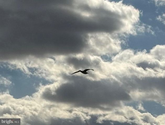 886 TURKEY POINT RD, North East, MD 21901