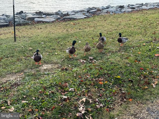 886 TURKEY POINT RD, North East, MD 21901