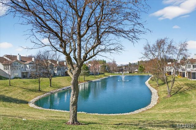 14738 Thornbird Manor Parkway, Chesterfield, MO 63017