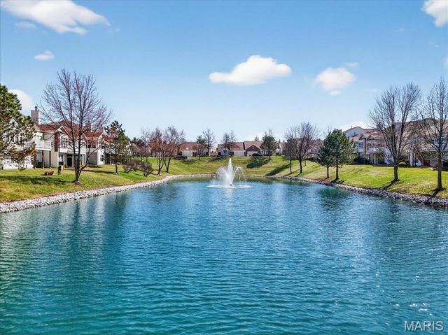 14738 Thornbird Manor Parkway, Chesterfield, MO 63017