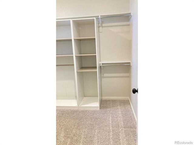 2110 Setting Sun Drive 3, Windsor, CO 80550