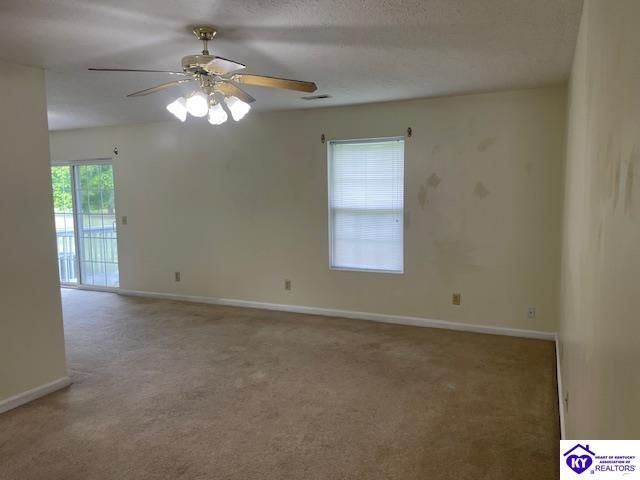 2146 Cecilia Smiths Mill Road, Cecilia, KY 42724