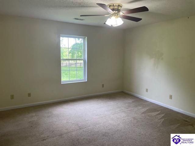 2146 Cecilia Smiths Mill Road, Cecilia, KY 42724