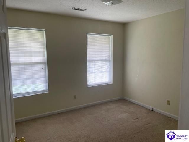 2146 Cecilia Smiths Mill Road, Cecilia, KY 42724