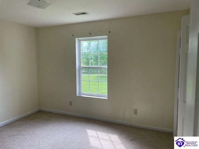 2146 Cecilia Smiths Mill Road, Cecilia, KY 42724
