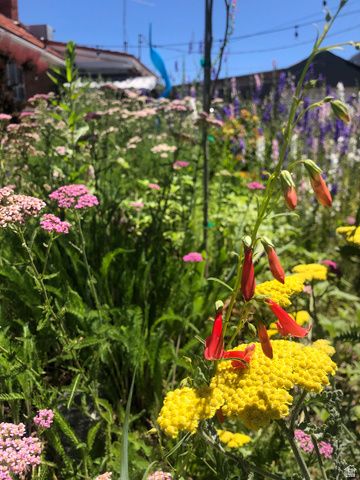 45 W BOULEVARD GDNS, Salt Lake City, UT 84115